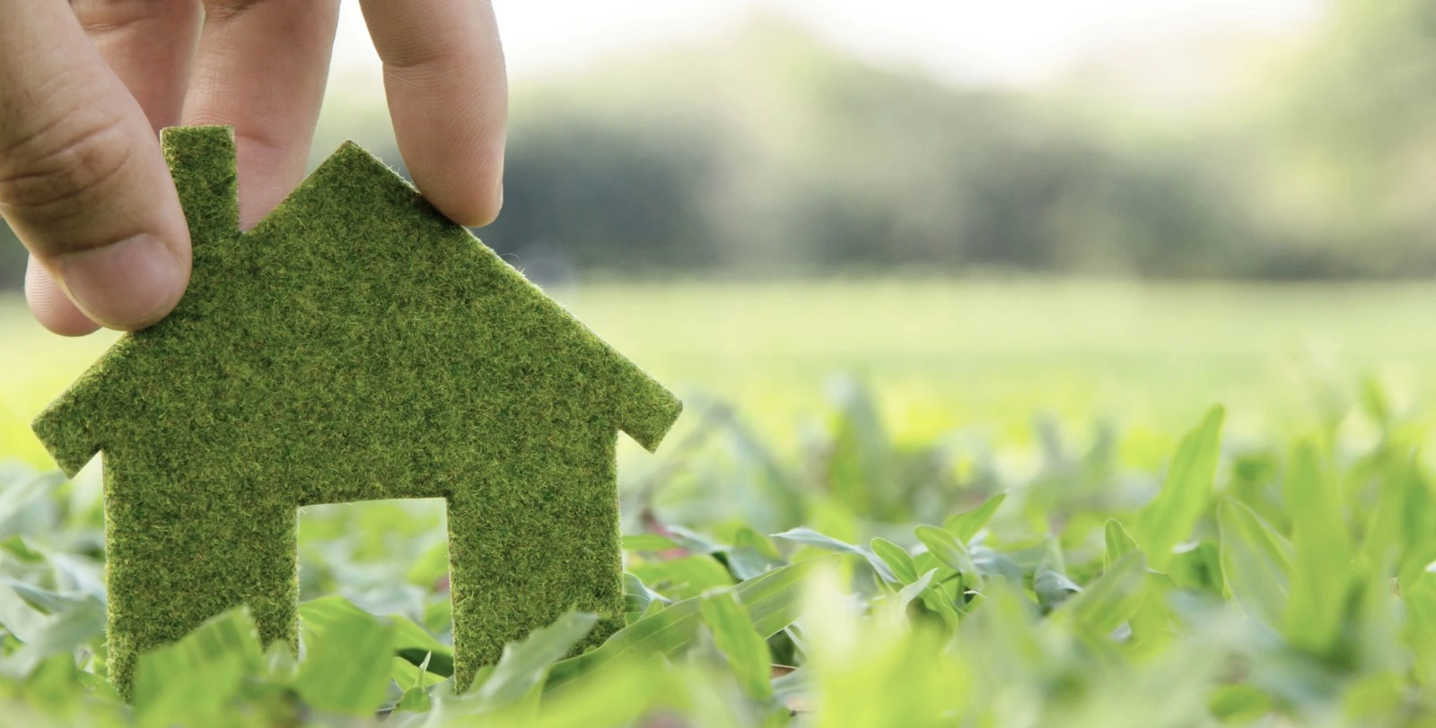 çevre dostu keçe tasarımları